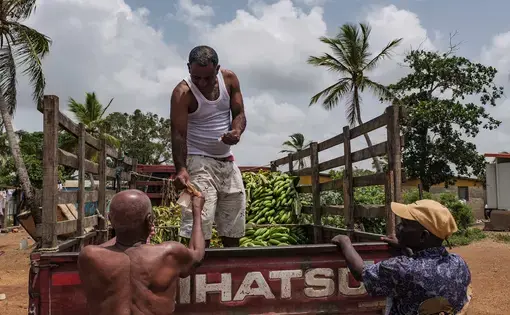 A man stands on a truck with plantains talking to two other men standing on the ground