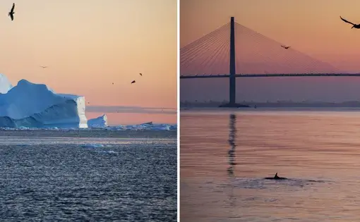Charleston and Greenland