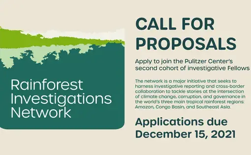 Banner for the 2022 RIN Fellowship Call for Proposals