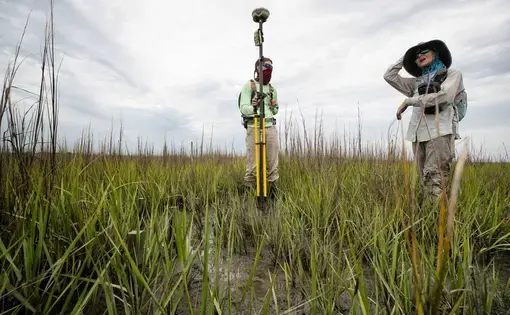 people in the marsh