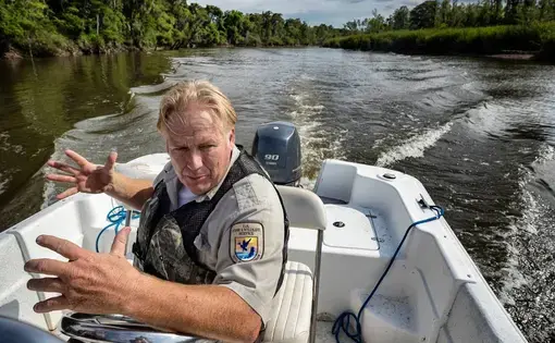 marshes
