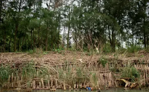 A layer of natural embankment damaged by flooding.
