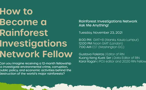 How to Become a Rainforest Investigations Network Fellow