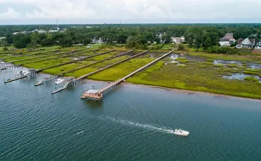 Photo of Salt Marsh