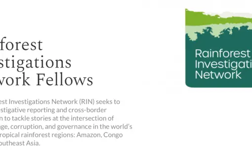 rainforests
