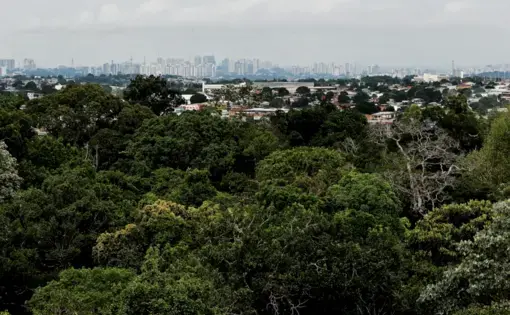 Manus Brazil