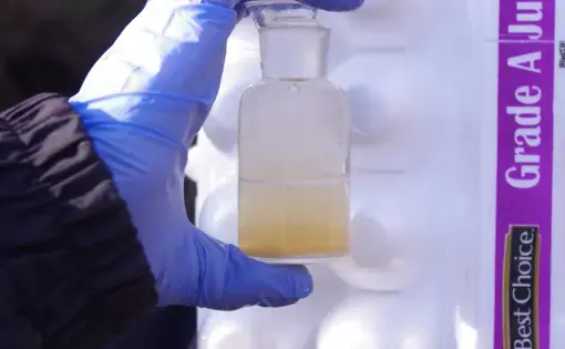 water quality test