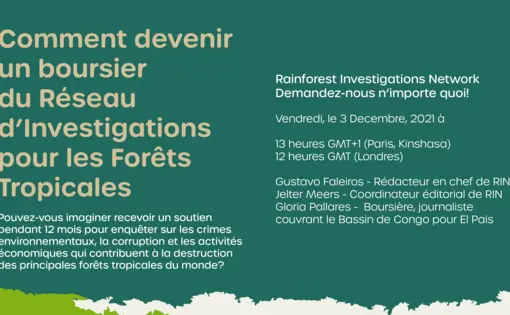 Comment devenir un boursier du Réseau d'Investigations pour les Forêts Tropicales (Rainforest Investigations Network)