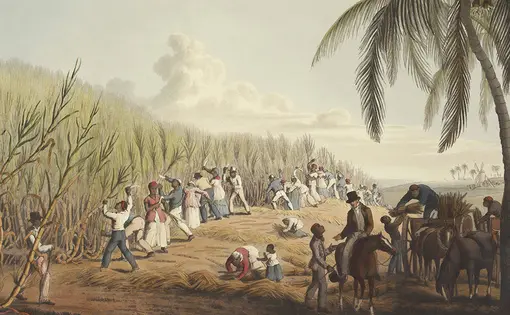 Photo of people working in fields.