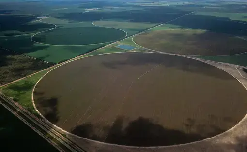 water image