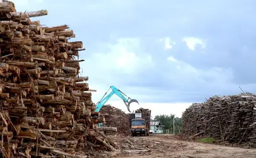 A crane picks up logs from a truck amidst big piles of logs.