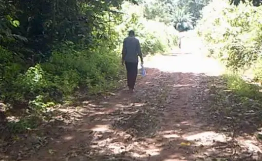 A person walks into a path with bushes and trees.