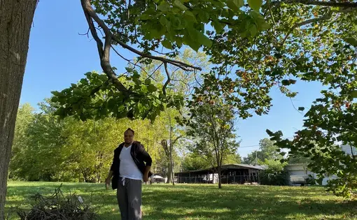 man in front yard