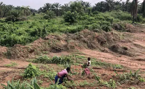 two girls clean up waste area