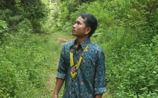 Man looking at the sky in the forest