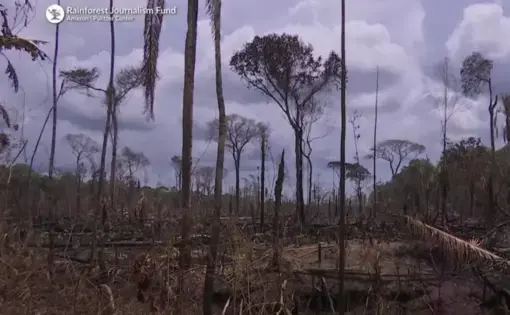 An aerial shot of deforested areas in Brazil.