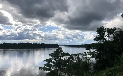 Landscape is surrounded by trees in the Amazon and grey clouds over a lake.