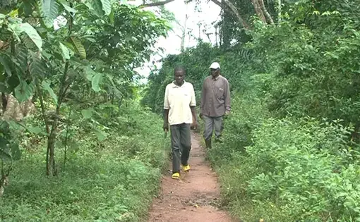Two men walk in a forest path.