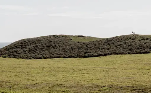 land