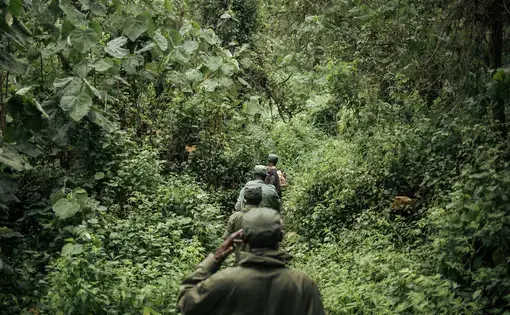 Four people wearing military green clothing walk in a line through a forest.