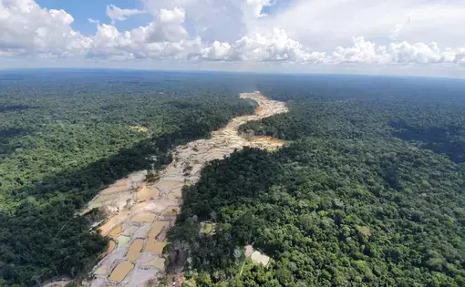 Area of illegal mining in the state of Pará, Brazil. Pictures were submitted by an anonymous source.