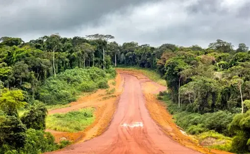 A clay road is in the middle, in the foreground there are tropical trees.
