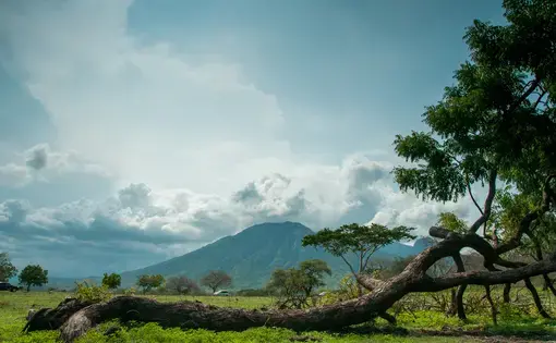 Image of a mountain in the foreground. There are trees nearby.
