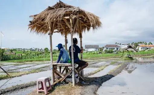 People under a hut