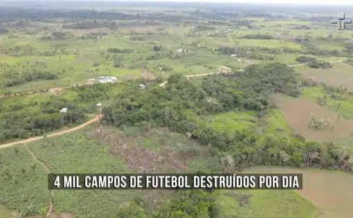 An aerial overview of farming land and tropical rainforest trees.