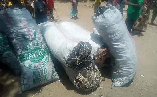 A pile of three trash bags lie flat on the ground.