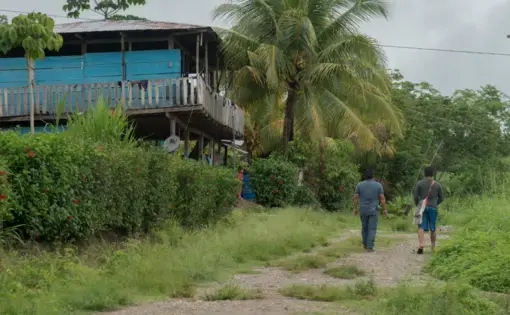 Two people walk near a tropical tree and a blue house in the background.