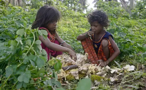 Two young children eat together