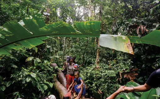 Migrants trek through jungle