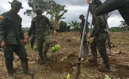 MM