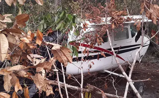 A white airplane is in the middle of a tropical rainforest.