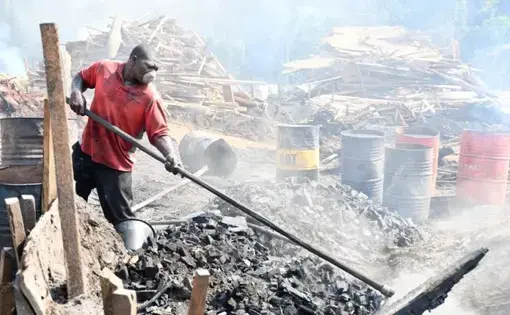 A person uses a broomstick to push coal into a pile.