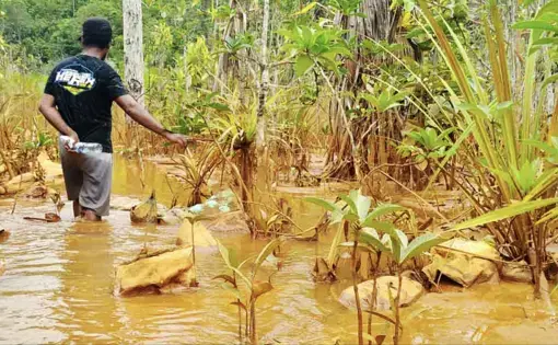 A person walks through muddy water and points to a patch of dirty grass.