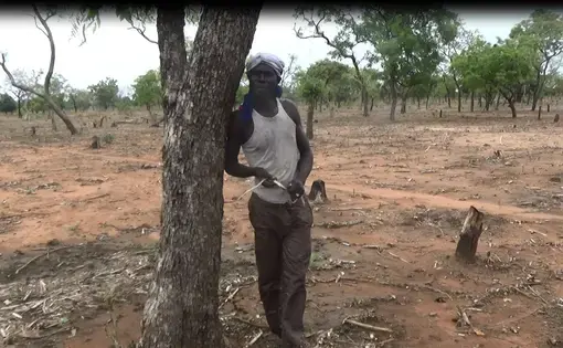 A logger leans against a tree in rural Cameroon.