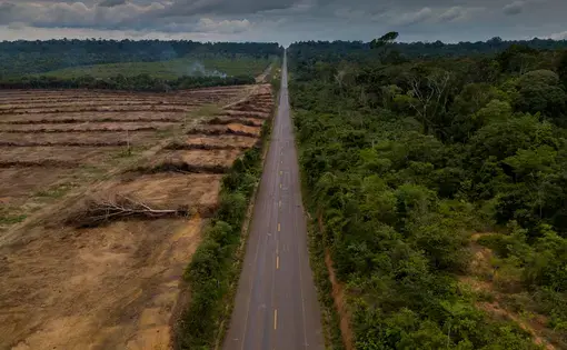 An aerial view of ongoing deforestation near a tropical jungle.