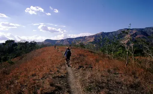 TRAIL WALK