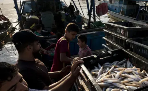 Docks in Gaza