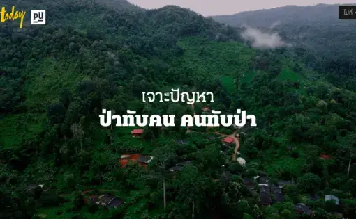 An aerial overview of trees and a forest in Thailand.