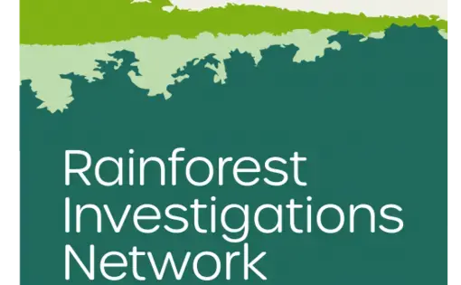 Rainforest Investigations Network is written in white letters. In the background, there is a green tropical rainforest.