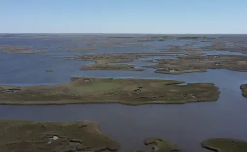 Area of Louisiana