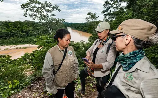 Three people talk together in a forest.