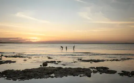 Beach landscape in Cabo Delgado