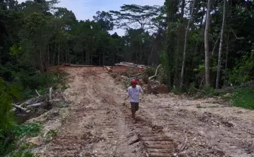 A man walks a muddy road where deforestation is happening.