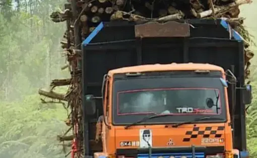 truck loaded with timber in the Philippine rainforest