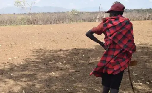 a farmer looks away at their empty corral