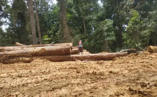 A man walks on a wooden log.